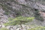 Φαράγγι της Ρόζας (άποψη) Φαράγγι της Ρόζας (άποψη)