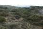 Φαράγγι της Ρόζας (άποψη) Φαράγγι της Ρόζας (άποψη)