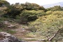 Φαράγγι της Ρόζας (άποψη) Φαράγγι της Ρόζας (άποψη)