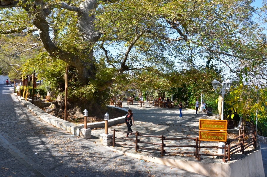 Κράσι   (Φωτογράφος: Αντιγόνη Μεταξάκη)