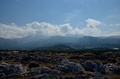 Μάλια   (Φωτογράφος: Αντιγόνη Μεταξάκη)