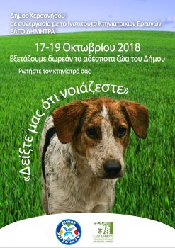 Τριήμερο ιατρικών εξετάσεων στα μη δεσποζόμενα ζώα στο Δήμο Χερσονήσου